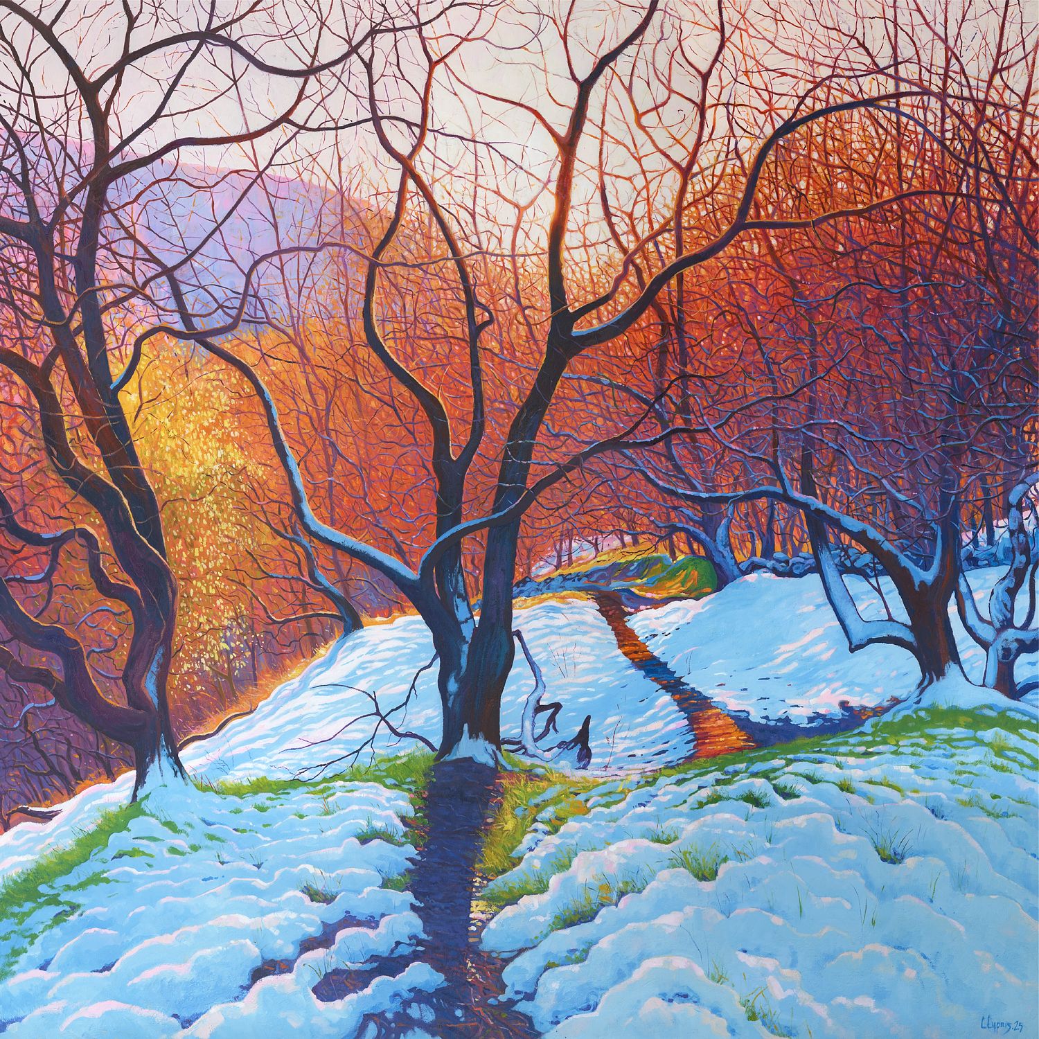 Midwinter 2_© Chris Cyprus