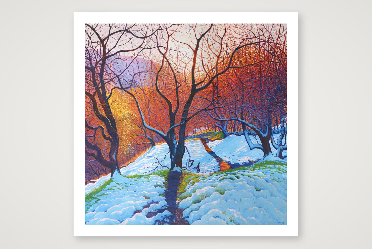 Midwinter 2_© Chris Cyprus — 50×50cm, 20×20" Print only