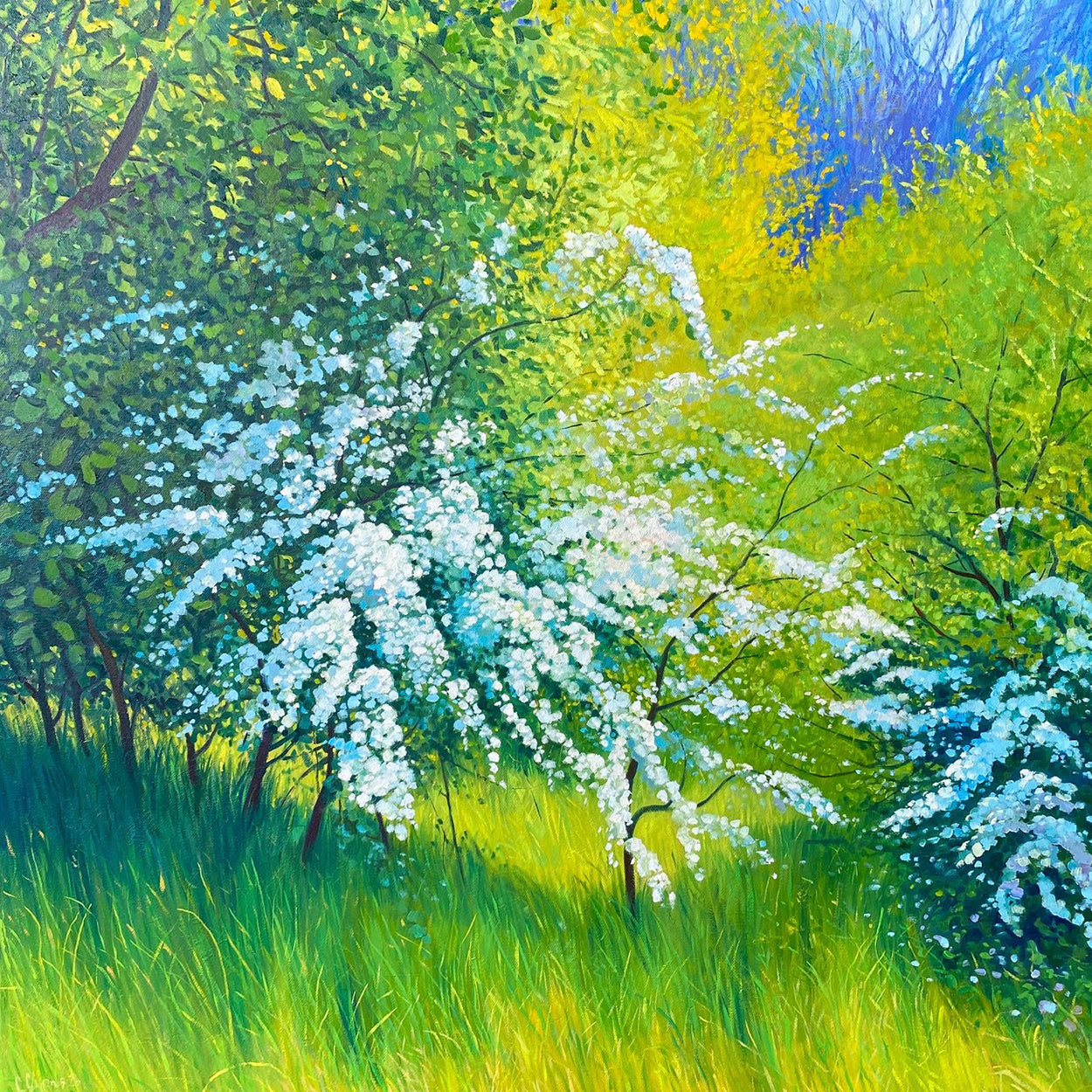 Dawn Of Summer ~ Oils on canvas 2026 ~ Custom Floating Frame