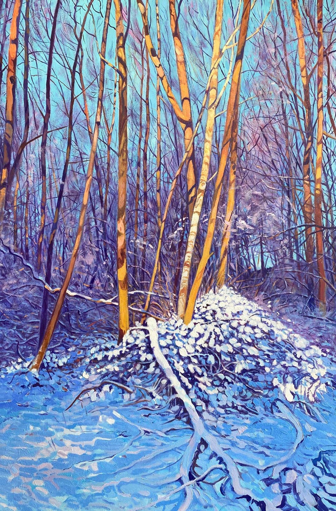 Groundfrost ~ Oils on Canvas 2026 ~ Chris Cyprus Artist ~ Fresh From The Easel