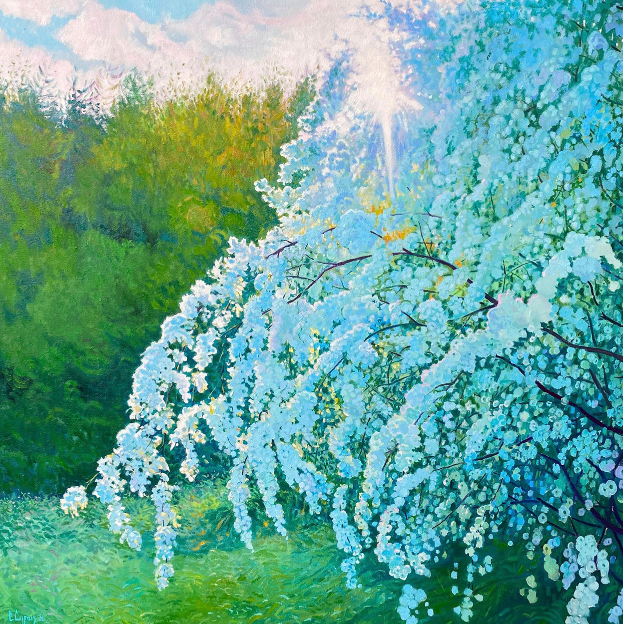 Hawthorn Season ~ Oils On Canvas 2026 ~ Custom Floating Frame