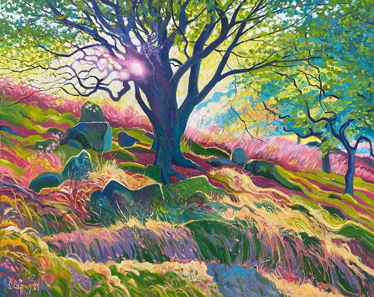 Grasslands ~ Oils on Canvas 2025 ~ Chris Cyprus Artist